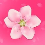 丝瓜草莓榴莲香蕉黄瓜