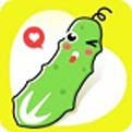 野花视频免费直播在线观看