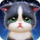 小猫爱消除_logo