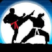 空手道战士真正的格斗Karate Fighter最新手游游戏版