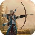 弓箭手刺客射击Archer Assassin游戏手机版